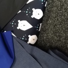 Medvědi na modré